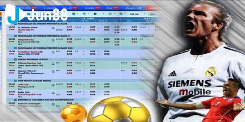 Một số thông tin cần lưu ý khi cá cược