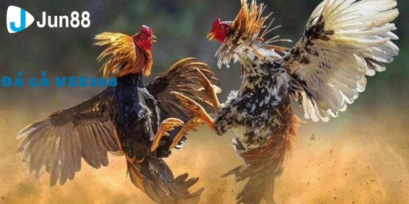 Trò chơi không ngừng thay đổi dịch vụ tốt nhất