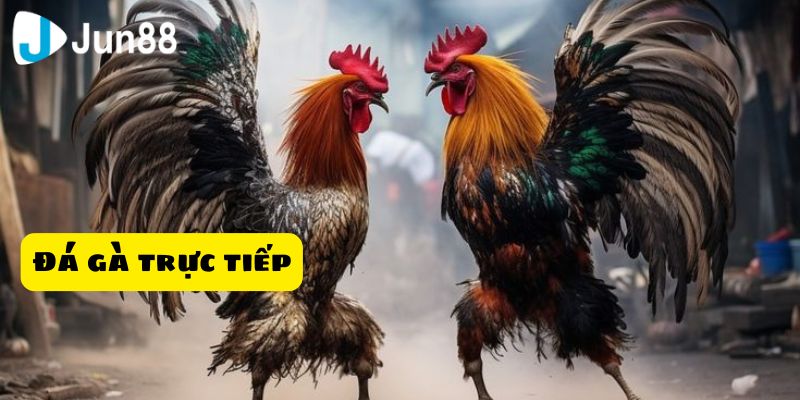 Nhà cái chúng tôi tự hào là đơn vị uy tín, an toàn