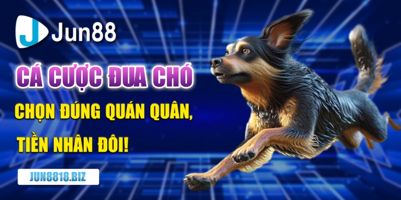 Cá cược đua chó