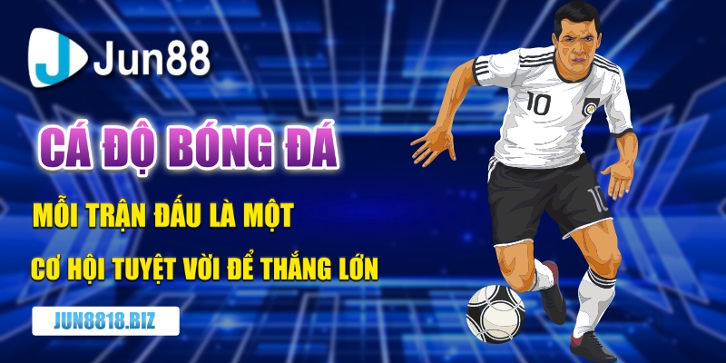 cá độ bóng đá